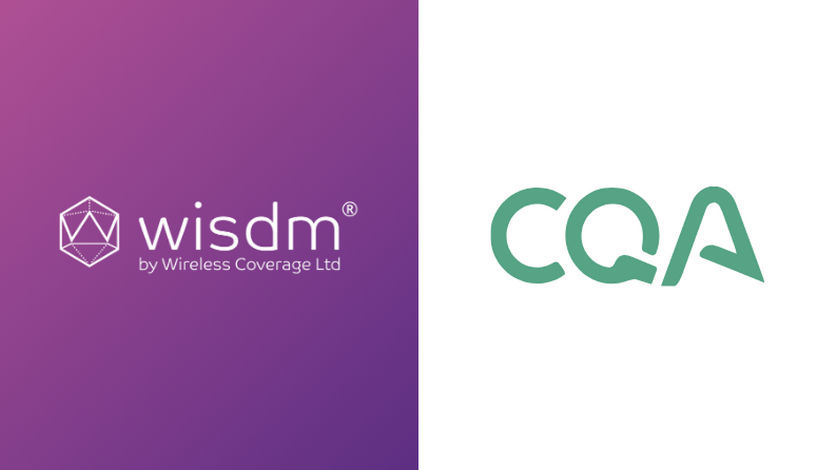 wisdm and cost quest associates logo