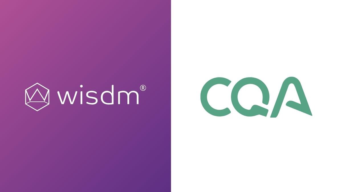 wisdm and cost quest associates logo