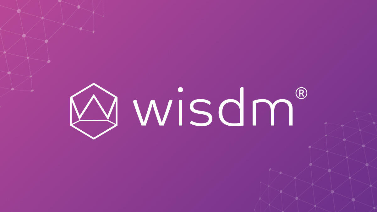 WISDM - Insights